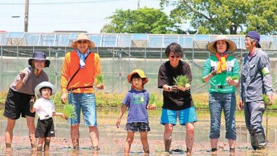 【加須市】農業体験（田植え・草取り・稲刈り）：40kgのお米が特典（参加者募集中）