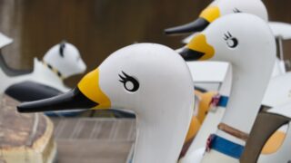 【加須はなさき公園完全ガイド】プール・アスレチック・桜まで！季節ごとの楽しみ方と施設情報を徹底解説