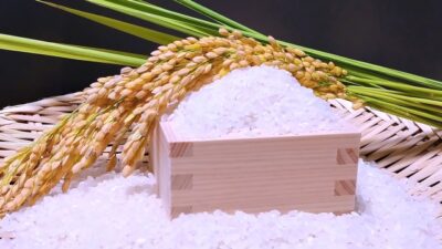 加須市のライスセンターはどんな場所？米づくり最前線（高温対策・カメムシ・新施設2025）