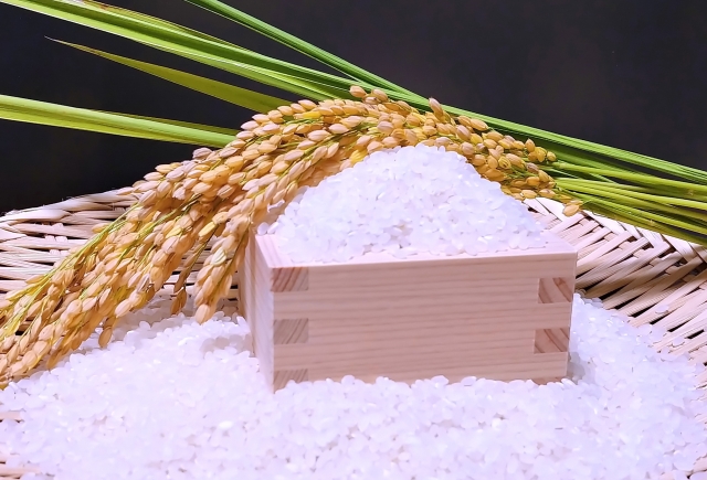 加須市のライスセンターはどんな場所？米づくり最前線（高温対策・カメムシ・新施設2025）